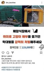 김건희, 인스타에 ‘고양이 학대범 처벌 촉구’